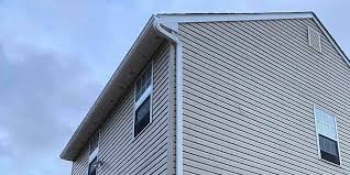 Best Historical Building Siding Restoration  in Alamae, NC